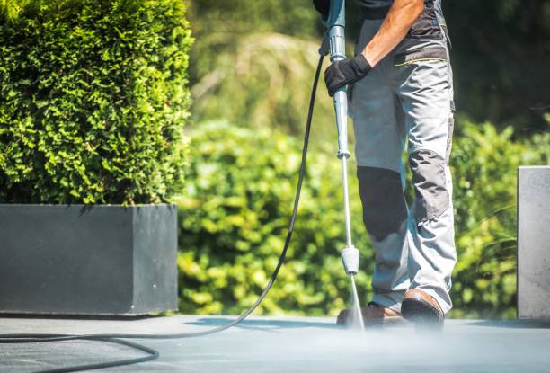 Best House Exterior Washing  in Benton Harbor, MI