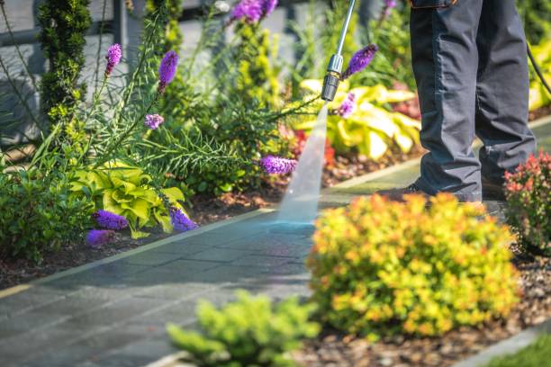 Best Patio and Deck Pressure Washing  in Benton Harbor, MI