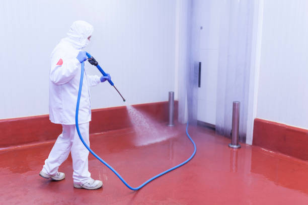 Best Boat and Dock Cleaning  in Benton Harbor, MI