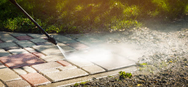 Best Driveway Pressure Washing  in Benton Harbor, MI